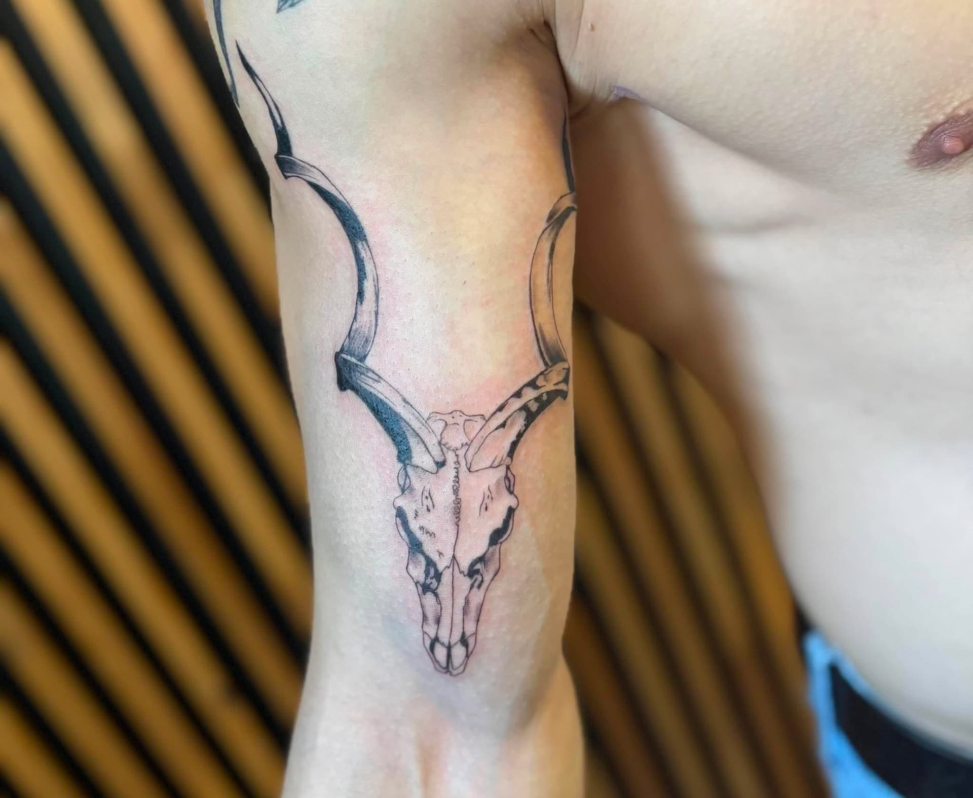 Tatouage fine line : crâne d’antilope aux cornes spiralées sur le bras